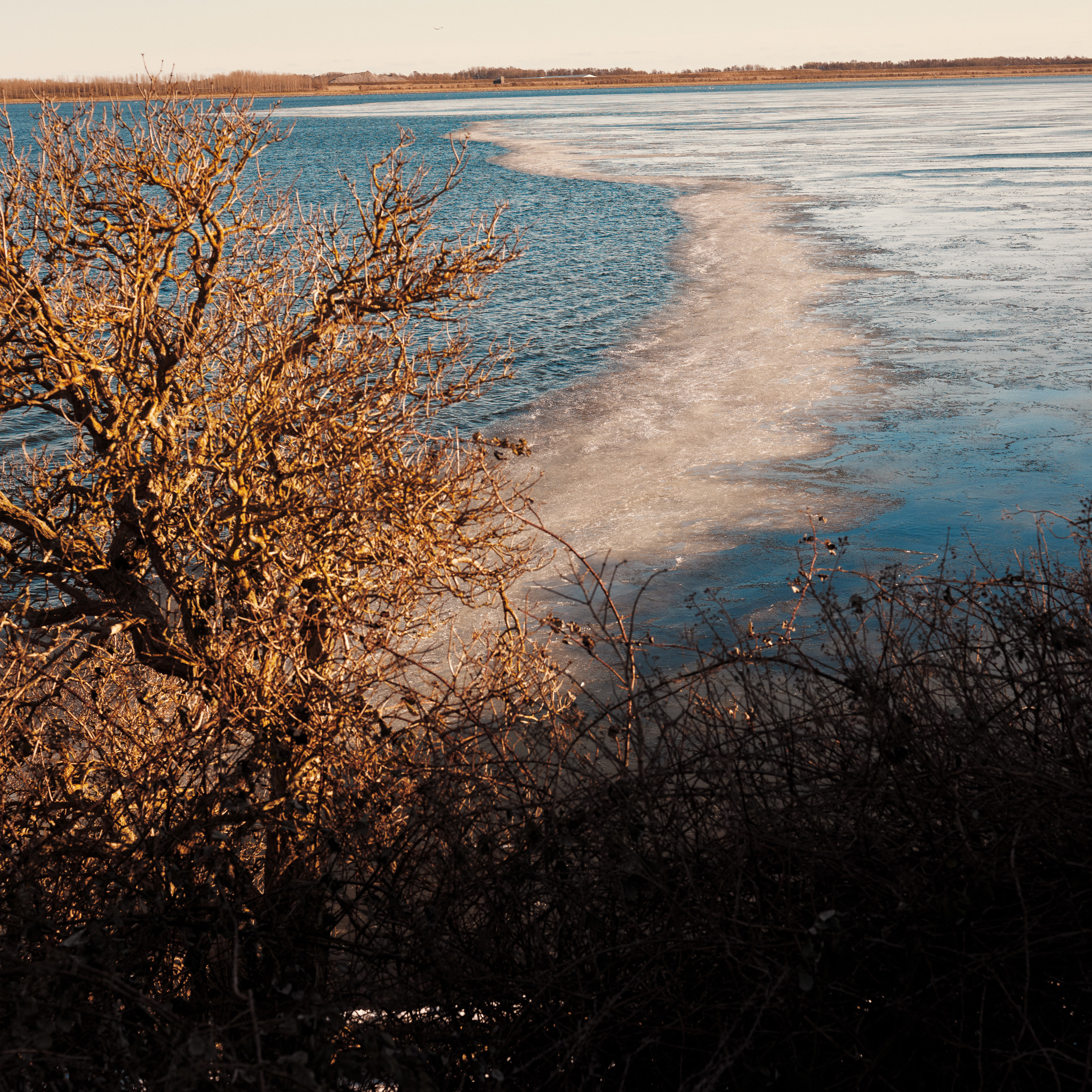 Udsigt over sø, vand, træer, natur