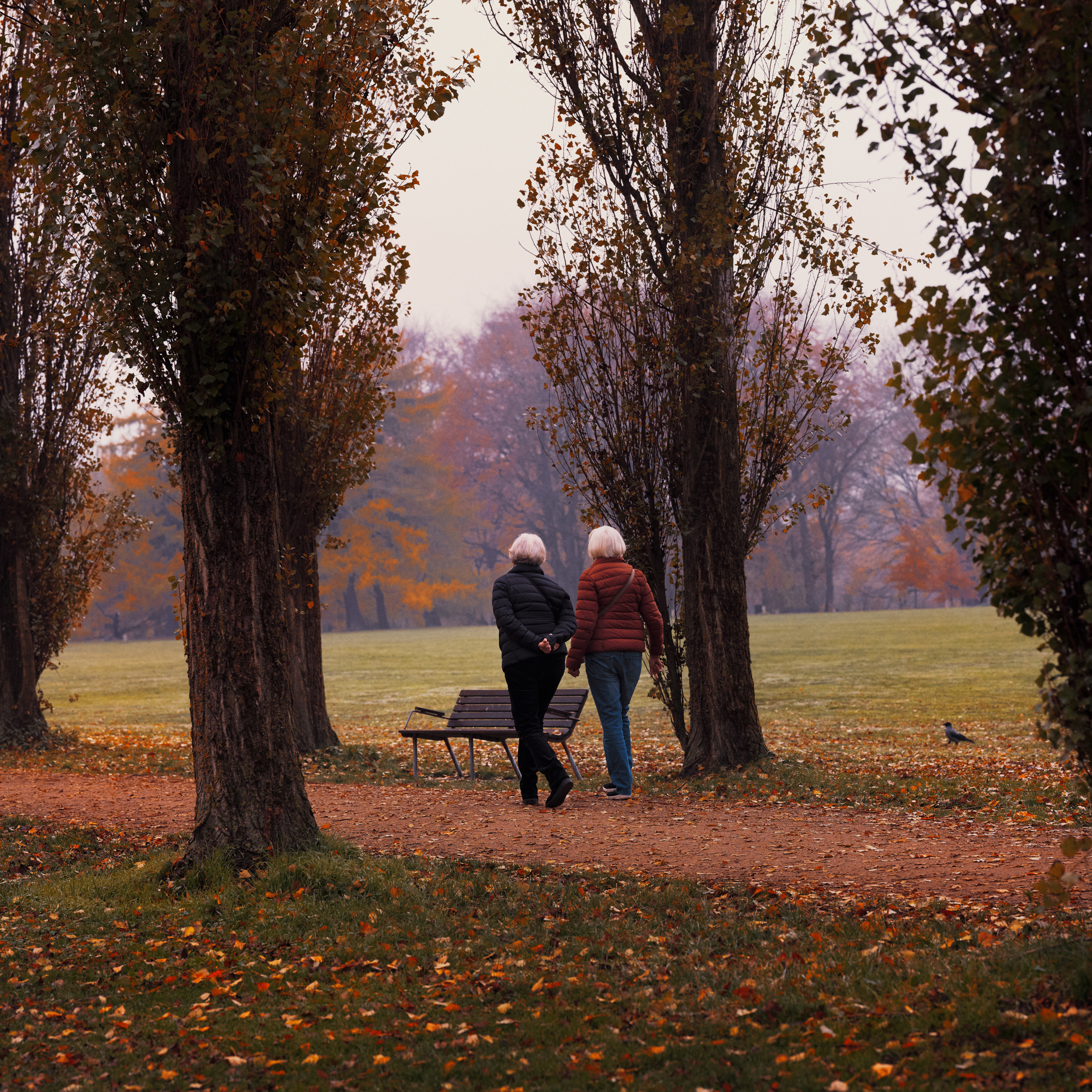 To kvinder der går tur, park, træer, græs, efterår, senior, seniorliv, pension, pensionist