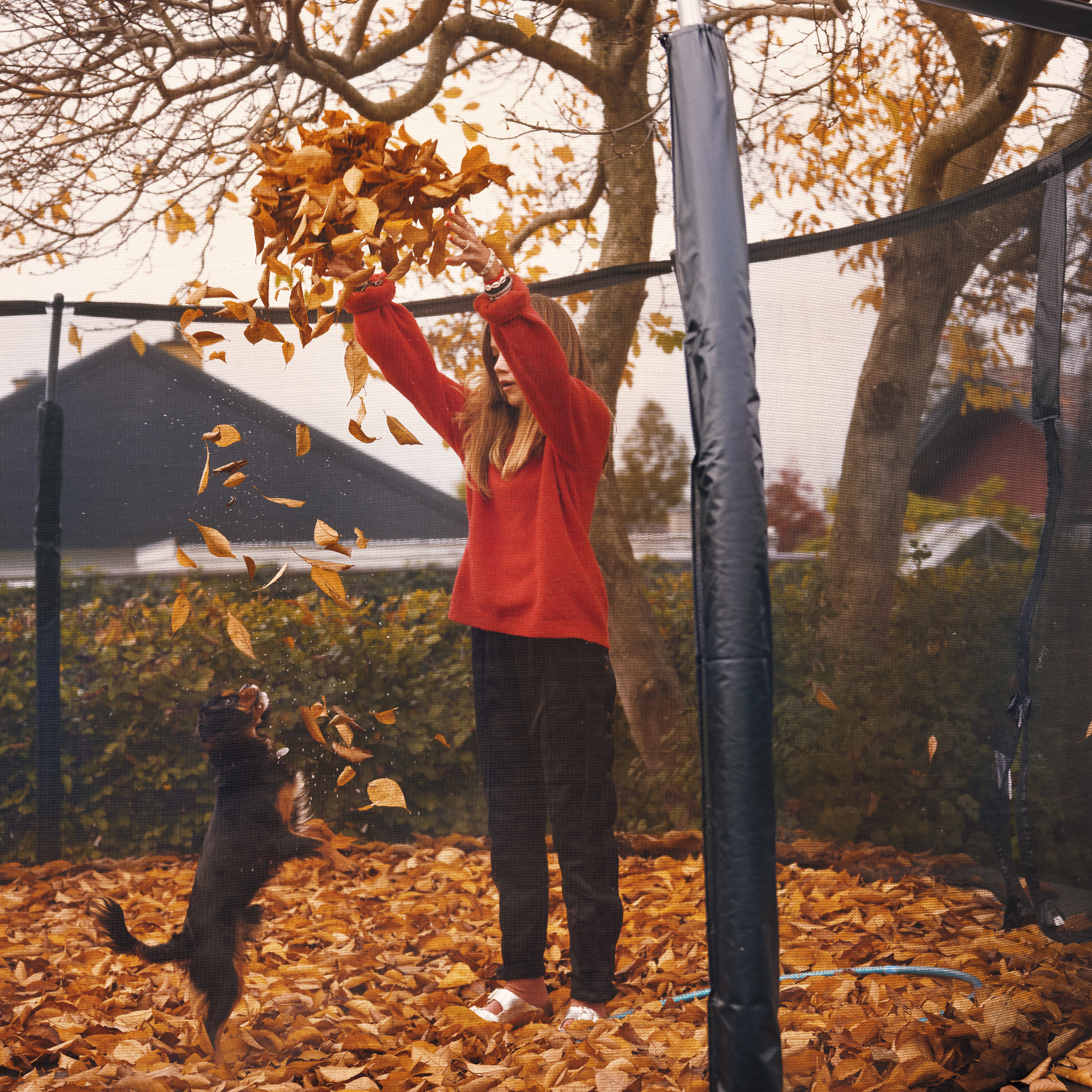 Ung pige og hendes hund på en trampolin og leger med blade i efterårsvejret