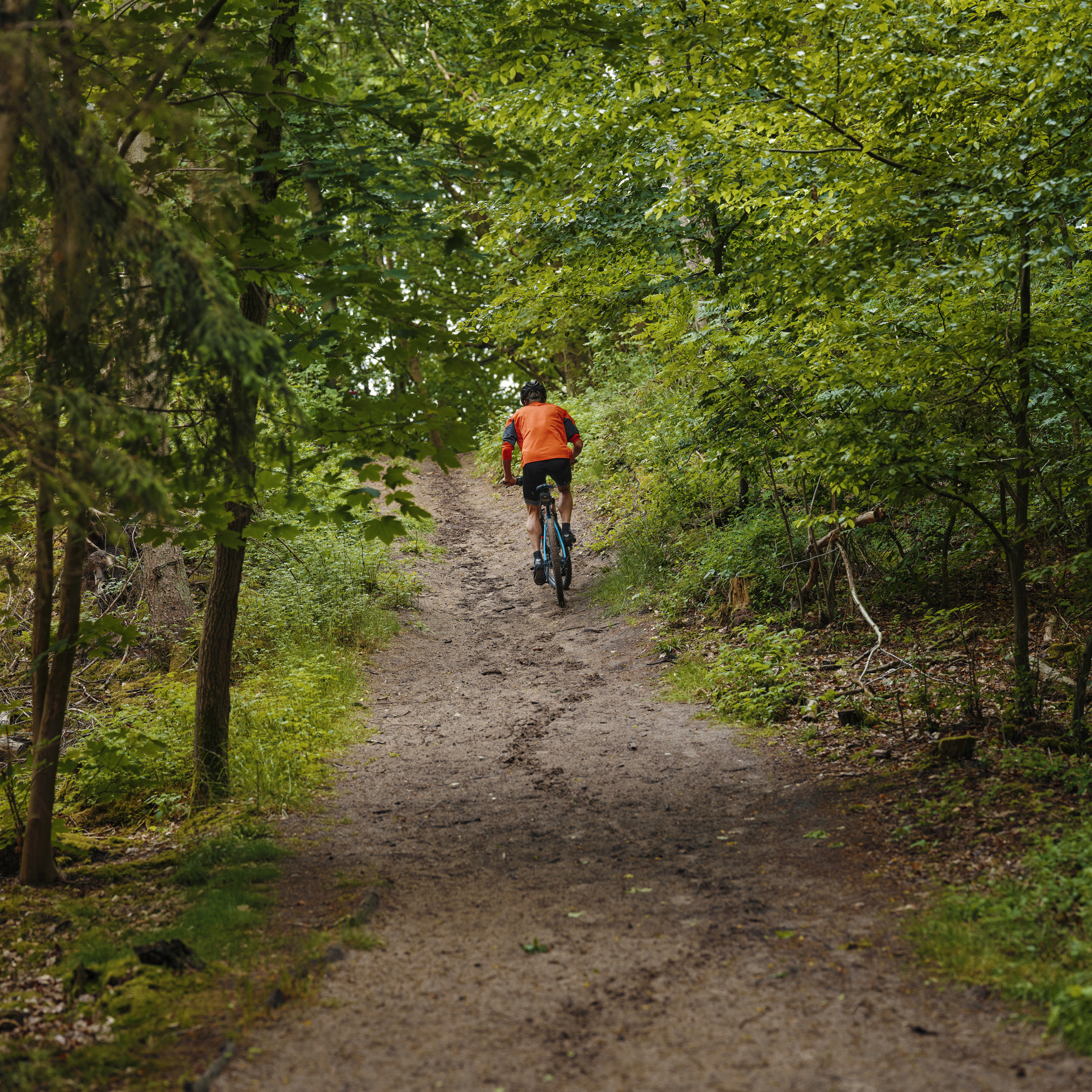 Udendørs cykeltræning i skoven, sommer, sundhed