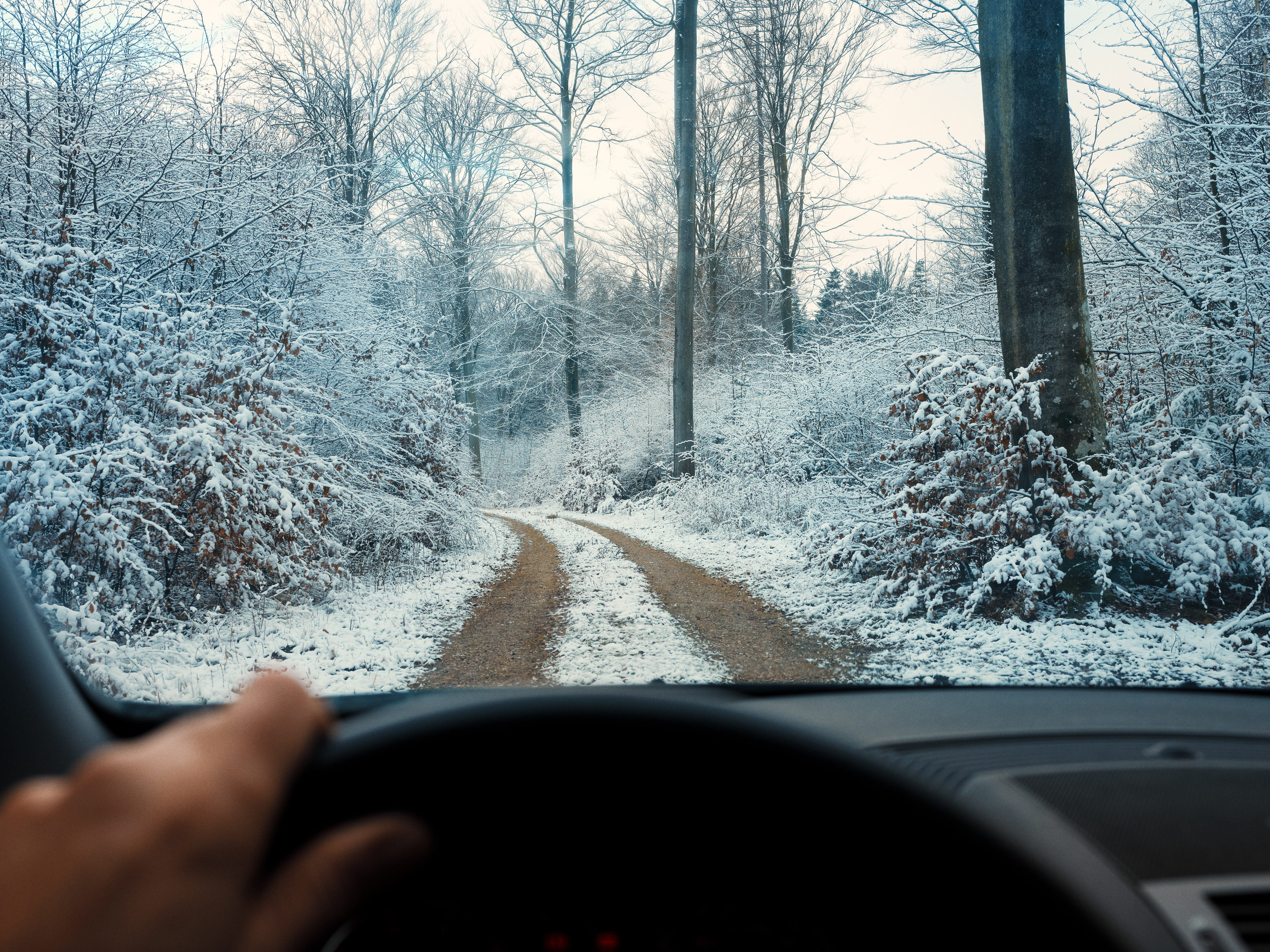 Bil der kører i skoven en vinterdag, sne, frost