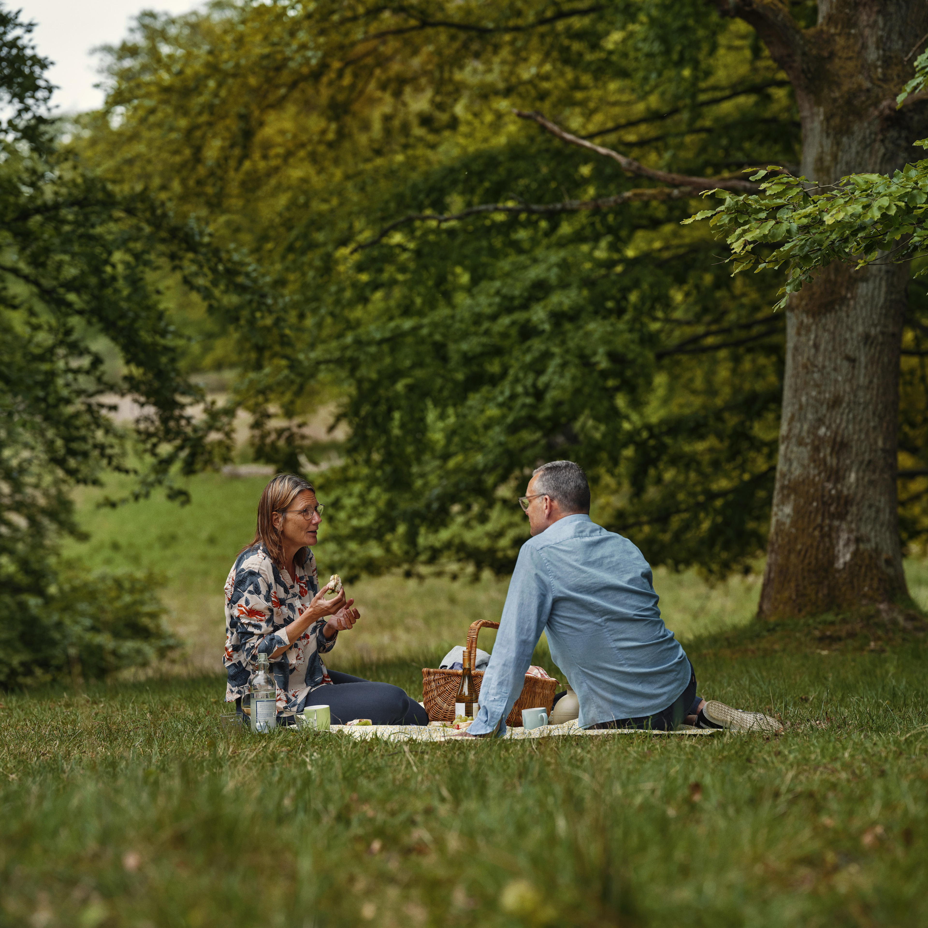 picnic, mand, kone, familie, senior, seniorliv, udendørs, pension, opsparing, risiko, sikkerhed