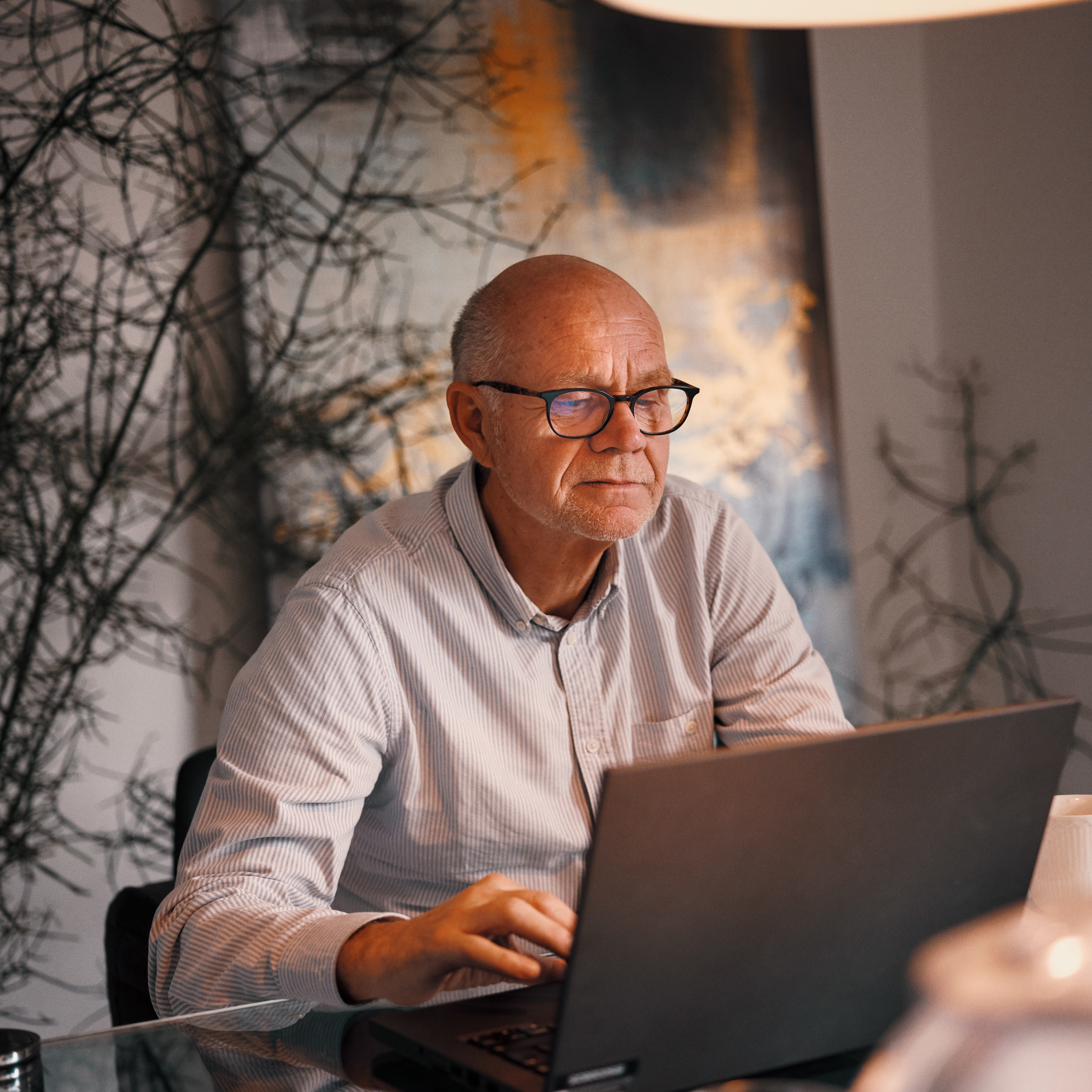 Ældre mand kigger på computer